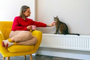 Kombi Petek Temizliğinin Önemi - Kadın ve Kedi Mutlu Isınma